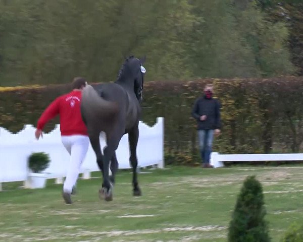 Video von Cortez Fz