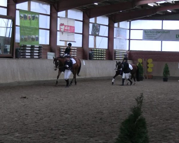 Reitturnier Ostenfelde-Vornholz 2023