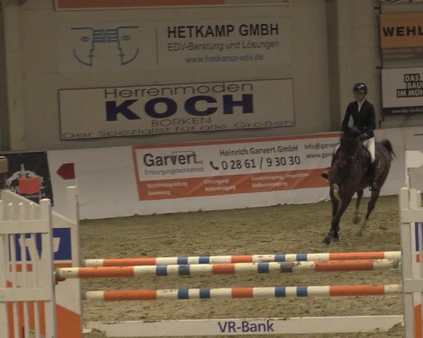 Reitturnier Borken 2023