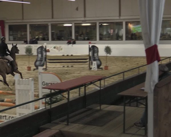 Reitturnier Borken 2023