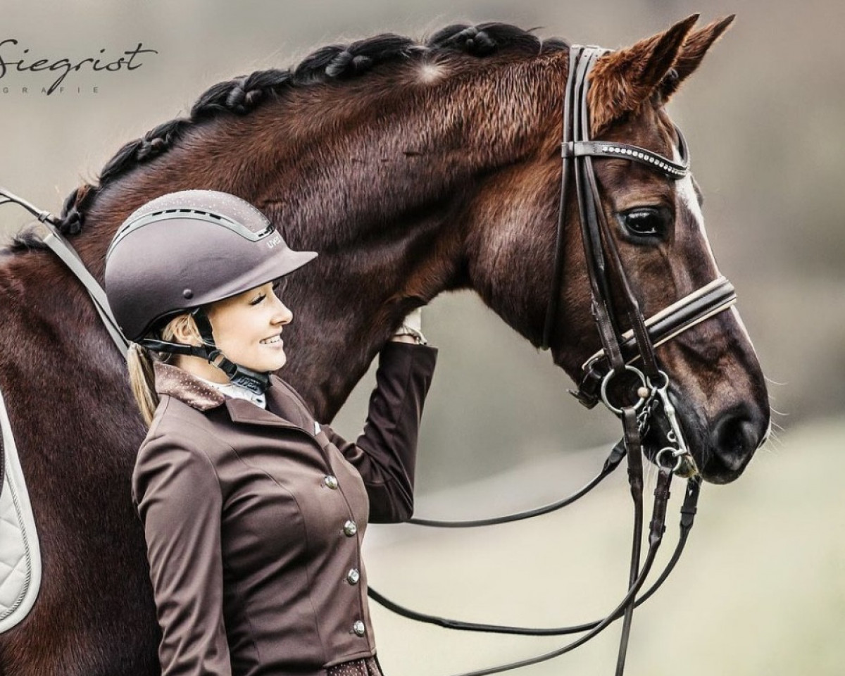 Caballo de Doma Lilliefee (Westfaliano, 2006, de Licotus)