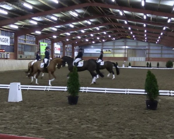Video von Fabiano Se, Daily Dream 10, Best Friend 11, Finest Wonder 3