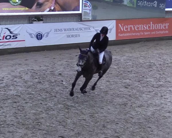 9. Nordic Jumping event Negernbötel 2023