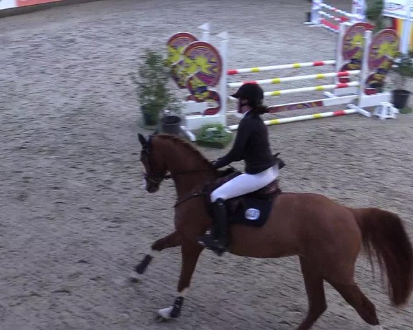 9. Nordic Jumping event Negernbötel 2023