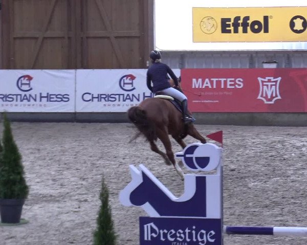 9. Nordic Jumping event Negernbötel 2023