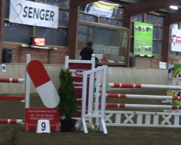 Reitturnier Ostenfelde-Vornholz 2023