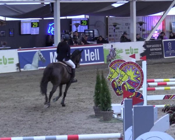 9. Nordic Jumping event Negernbötel 2023