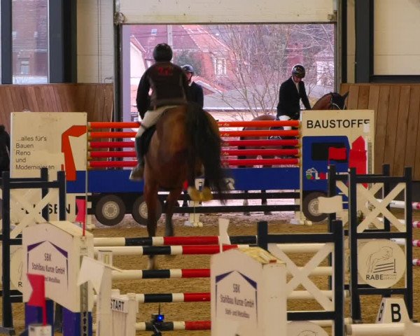Reitturnier Zwickau 2023