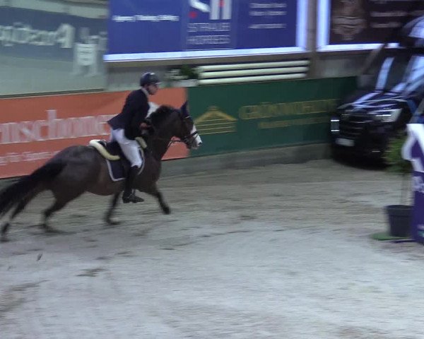 9. Nordic Jumping event Negernbötel 2023