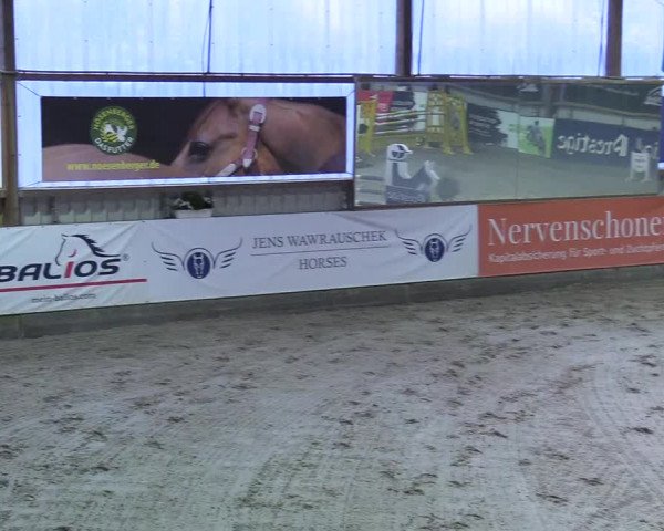9. Nordic Jumping event Negernbötel 2023