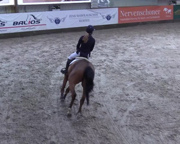 9. Nordic Jumping event Negernbötel 2023
