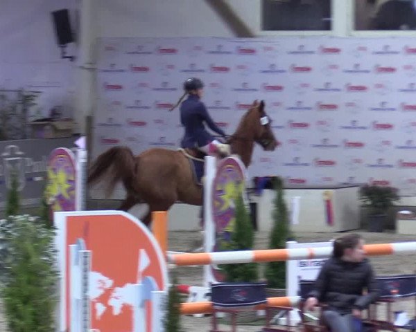 9. Nordic Jumping event Negernbötel 2023