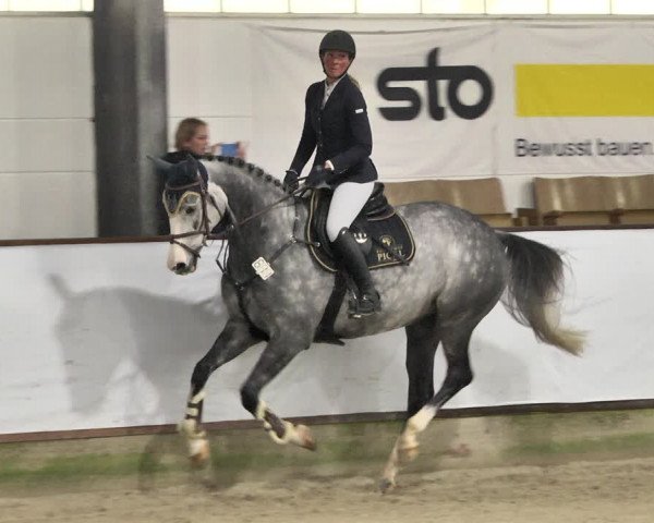 Reitturnier Karlsfeld/Obb. 2021