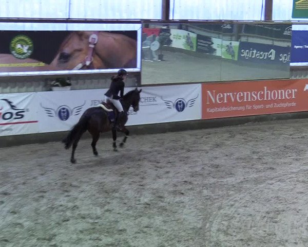 9. Nordic Jumping event Negernbötel 2023
