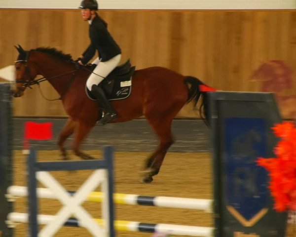 Reitturnier Zwickau 2023
