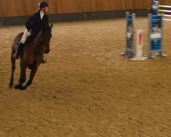 Reitturnier Zwickau 2023