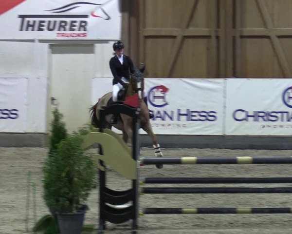 9. Nordic Jumping event Negernbötel 2023