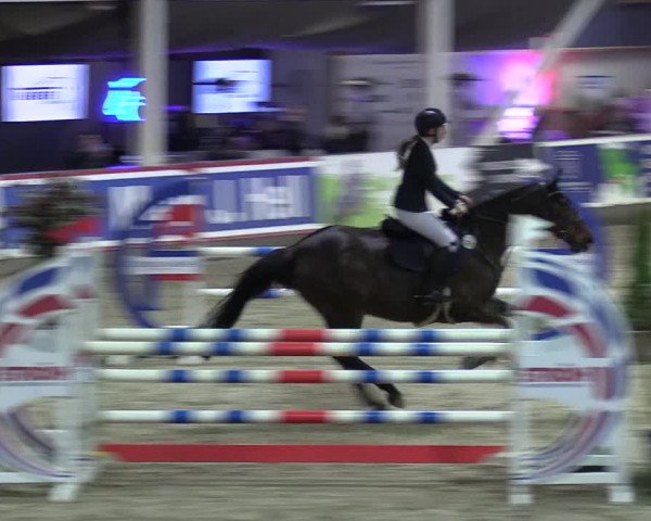 9. Nordic Jumping event Negernbötel 2023
