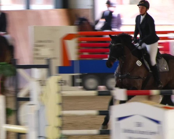 Reitturnier Zwickau 2023