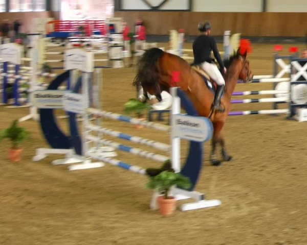 Reitturnier Zwickau 2023