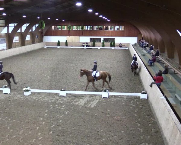 Reitturnier Hövelhof 2021
