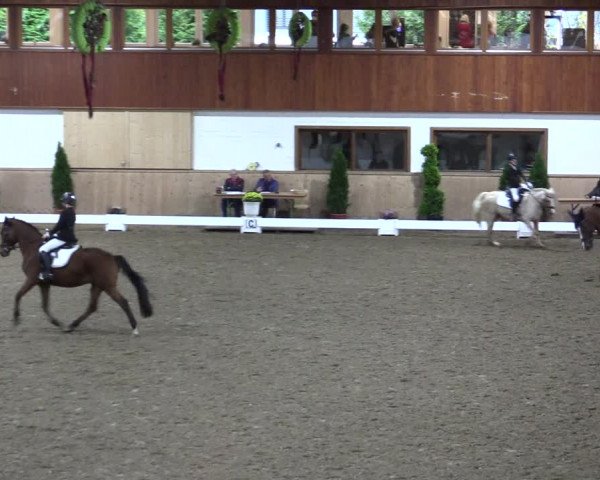 Reitturnier Hövelhof 2021