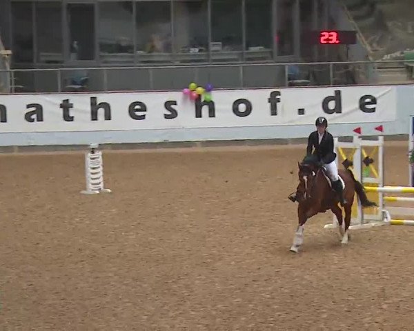 Reitturnier Kreuth 2023