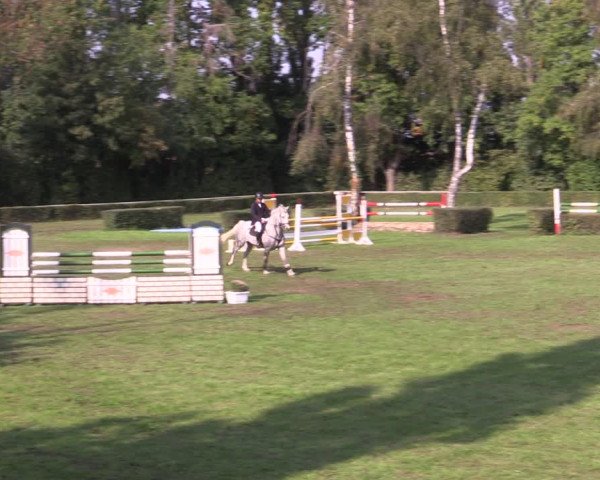 Reitturnier Westeregeln 2021