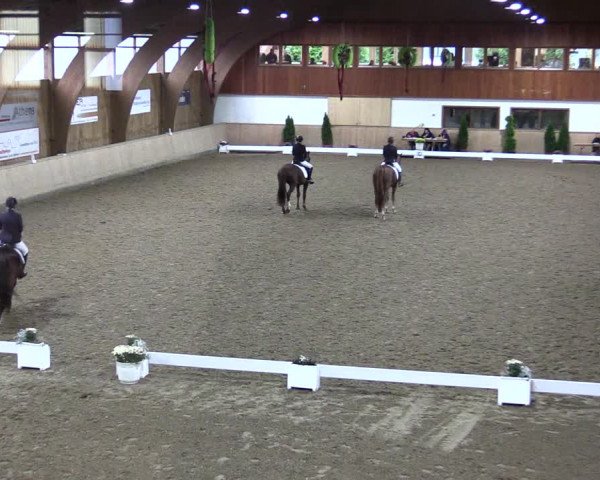 Reitturnier Hövelhof 2021