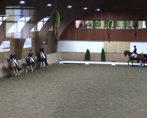 Reitturnier Hövelhof 2021