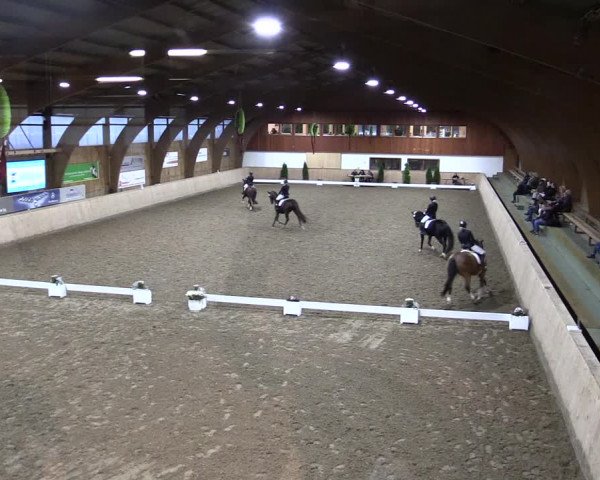 Reitturnier Hövelhof 2021
