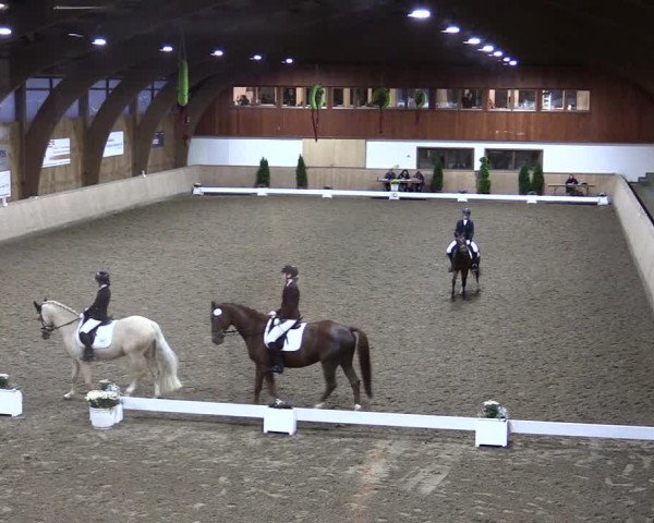 Reitturnier Hövelhof 2021