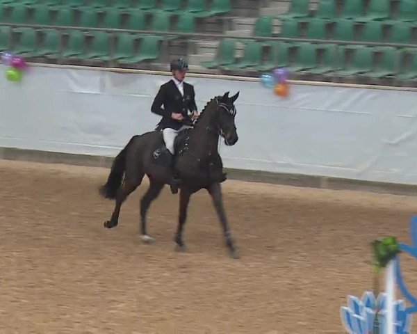 Reitturnier Kreuth 2023