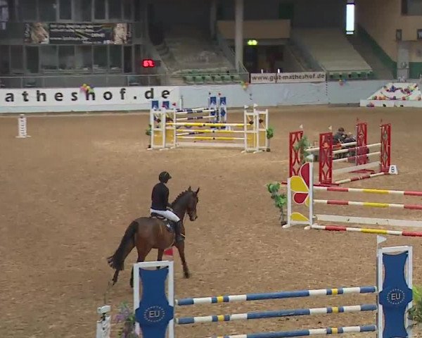 Reitturnier Kreuth 2023