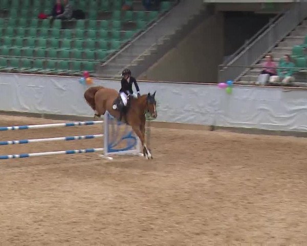 Reitturnier Kreuth 2023