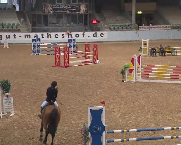 Reitturnier Kreuth 2023