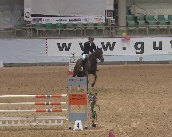 Reitturnier Kreuth 2023