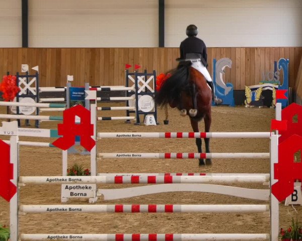 Reitturnier Zwickau 2023