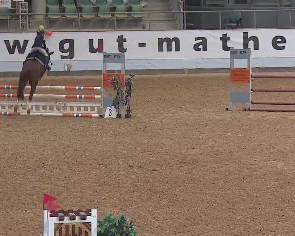 Reitturnier Kreuth 2023