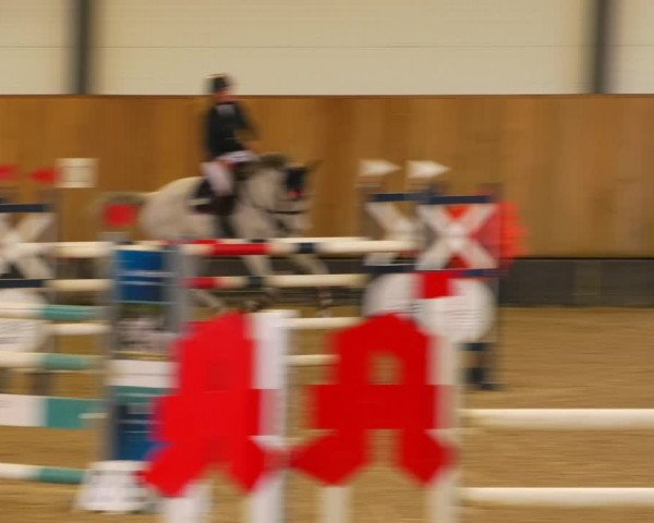 Reitturnier Zwickau 2023