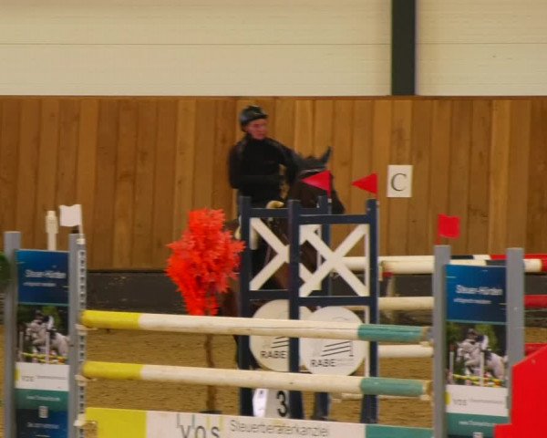 Reitturnier Zwickau 2023