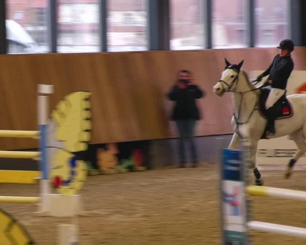 Reitturnier Zwickau 2023