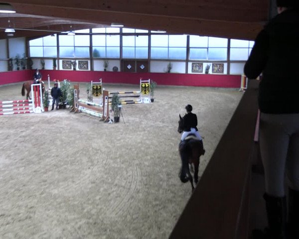 Reitturnier Klein Drehle - Reitanlage König 2023