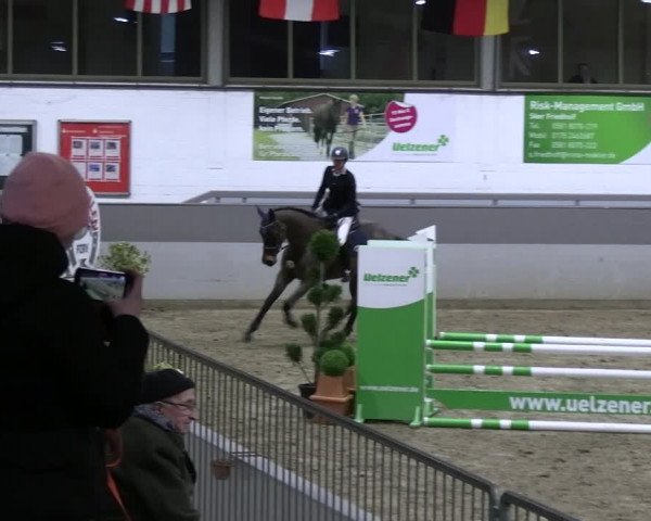 Reitturnier Luhmühlen 2023