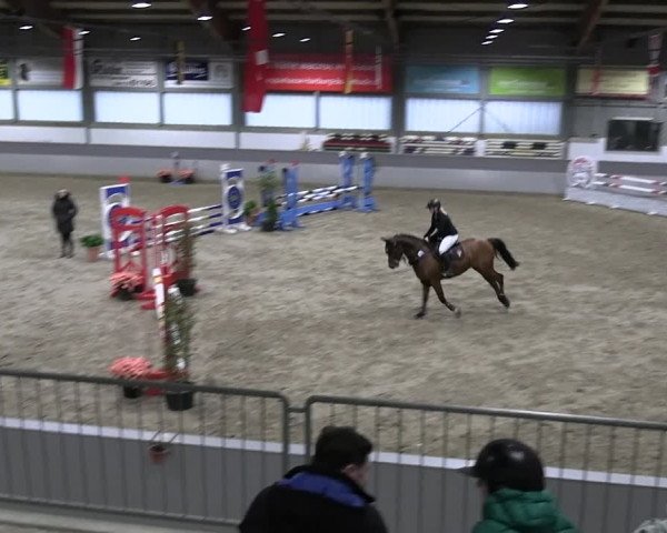 Reitturnier Luhmühlen 2023