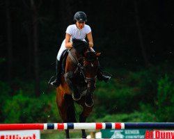 broodmare Coolina (Westphalian, 2006, from Calido I)