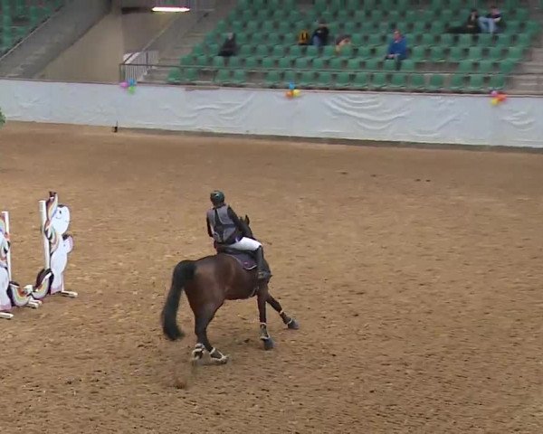 Reitturnier Kreuth 2023