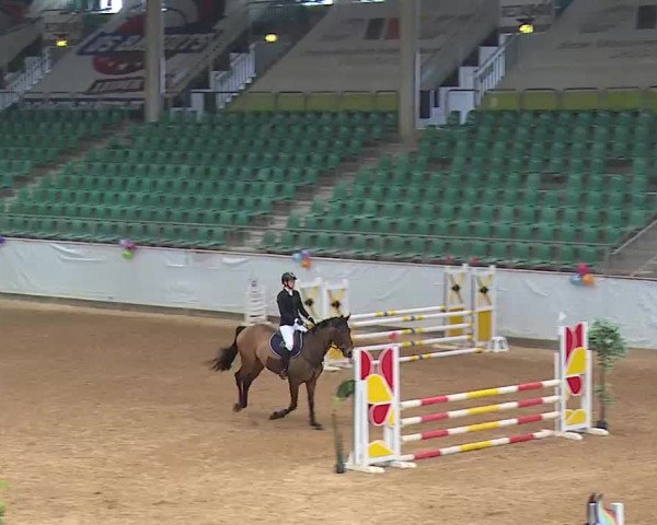 Torneo Equestre Kreuth 2023