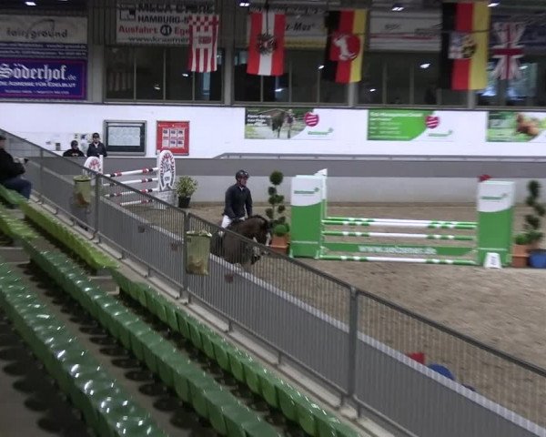 Reitturnier Luhmühlen 2023