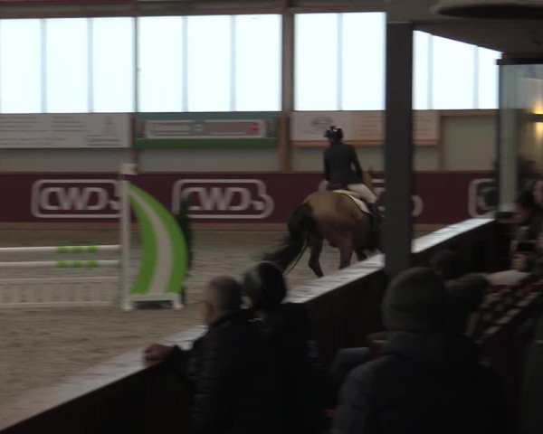 Reitturnier Goch-Asperden 2023
